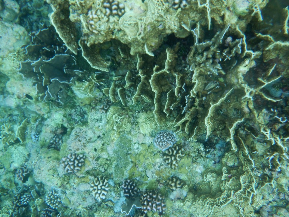 Indonesia - Kabupaten Wakatobi - 