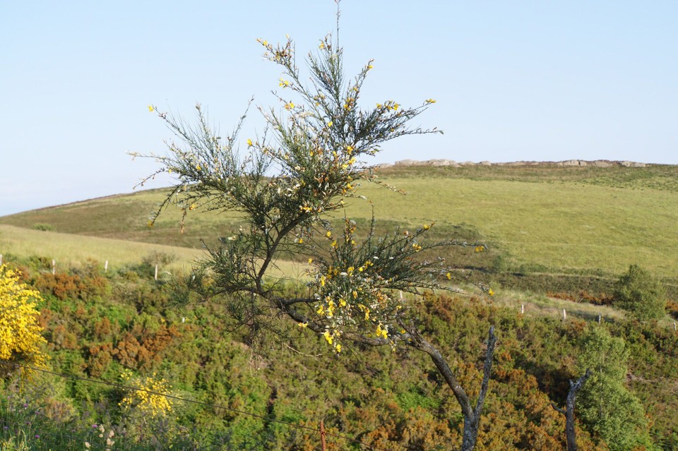 Spanien - Grandas de Salime - 