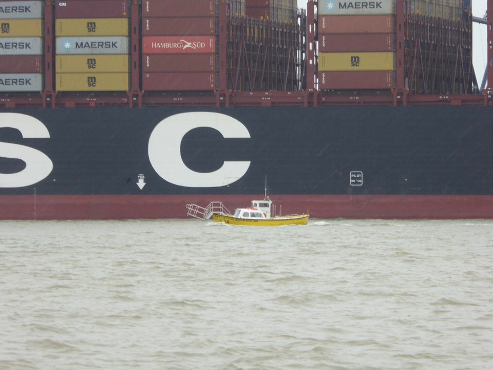 United Kingdom - Woodbridge - Looking very small next to the MSC container ship, the Harwich Harbour Foot and Bicycle Ferry has been connecting Harwich, Shotley and Felixstowe since 1912.