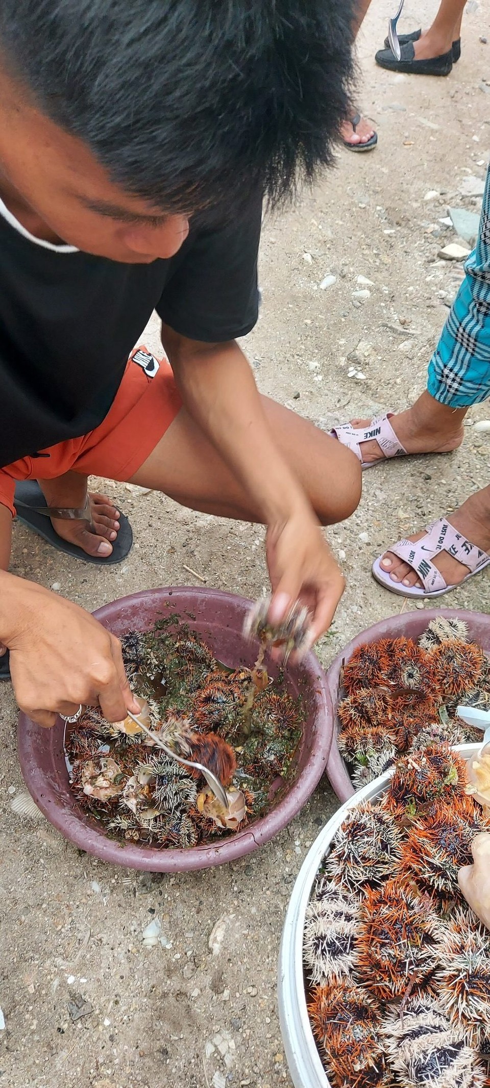 Philippines - Panglao - 