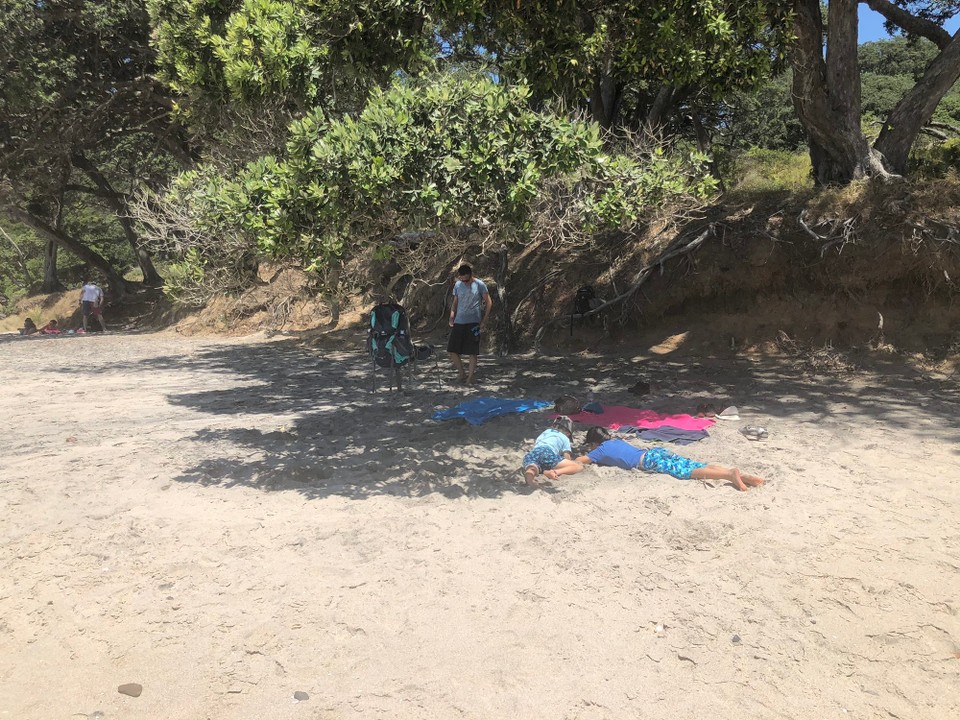 Neuseeland - Waihi Beach - Überall schattige Plätze 