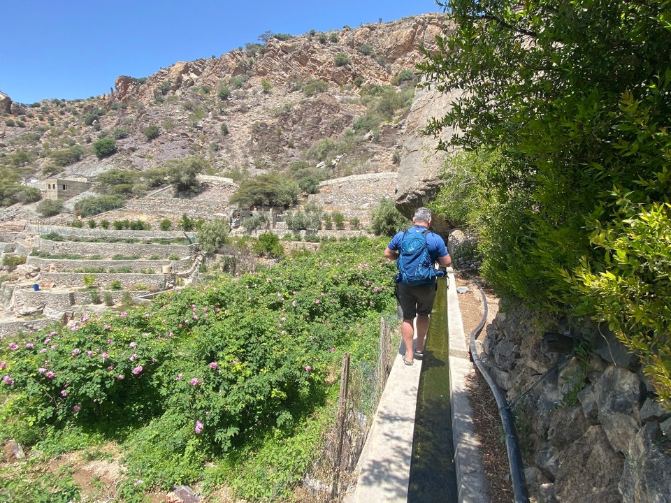 Oman -  - Das Bewässerungssystem Fajal
