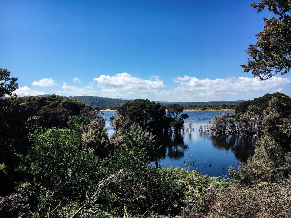 Australien -  - Nächster Tag: Wanderung zum Archers Knob ...