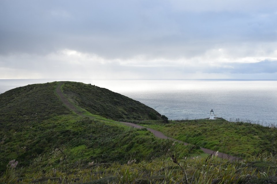 Neuseeland - Cape Reinga - Cape Reinga - der (fast) nördlichste Punkt von Neuseeland
