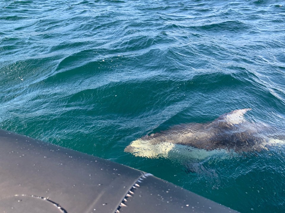 Kanada - Campbell River 11 - 