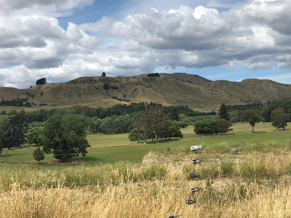 Neuseeland - Martinborough - 