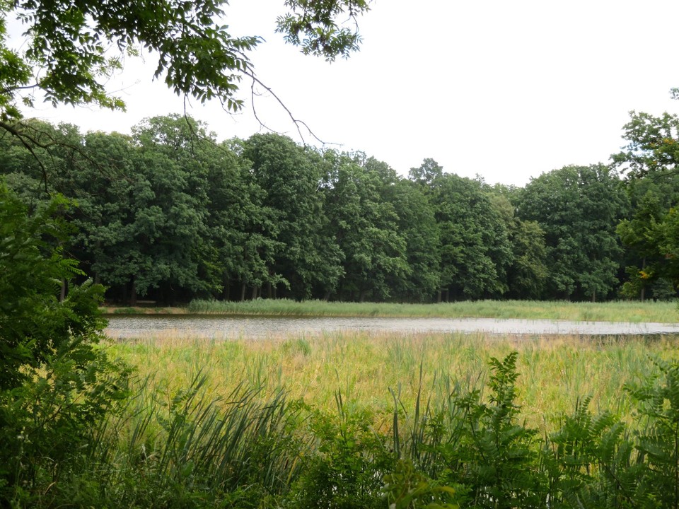 Polen - Moschen - 