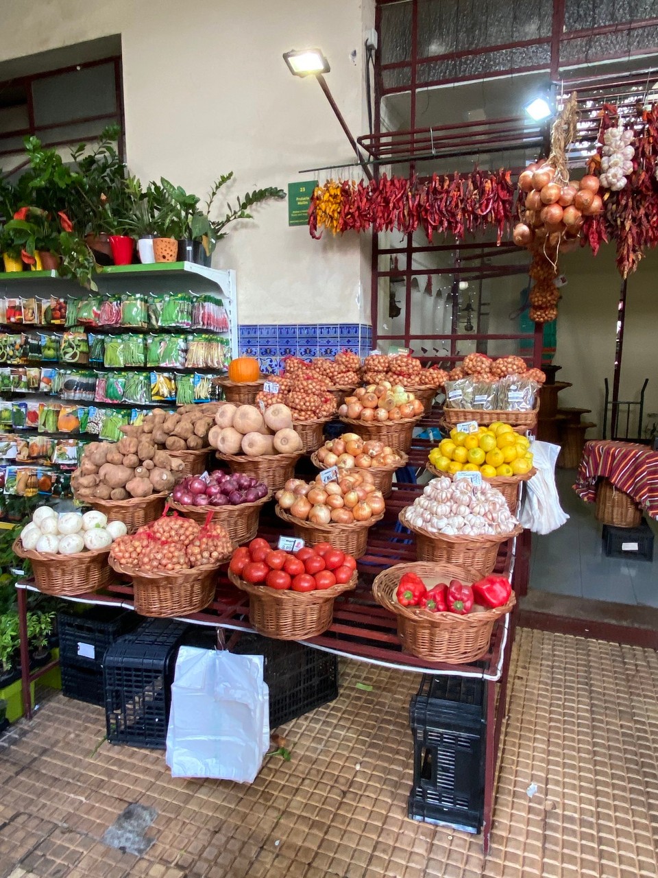 Portugal - Funchal - 