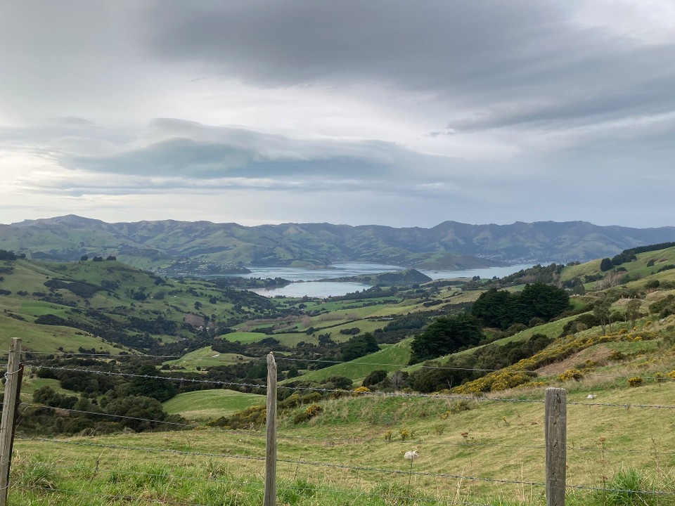 Neuseeland - Duvauchelle - 