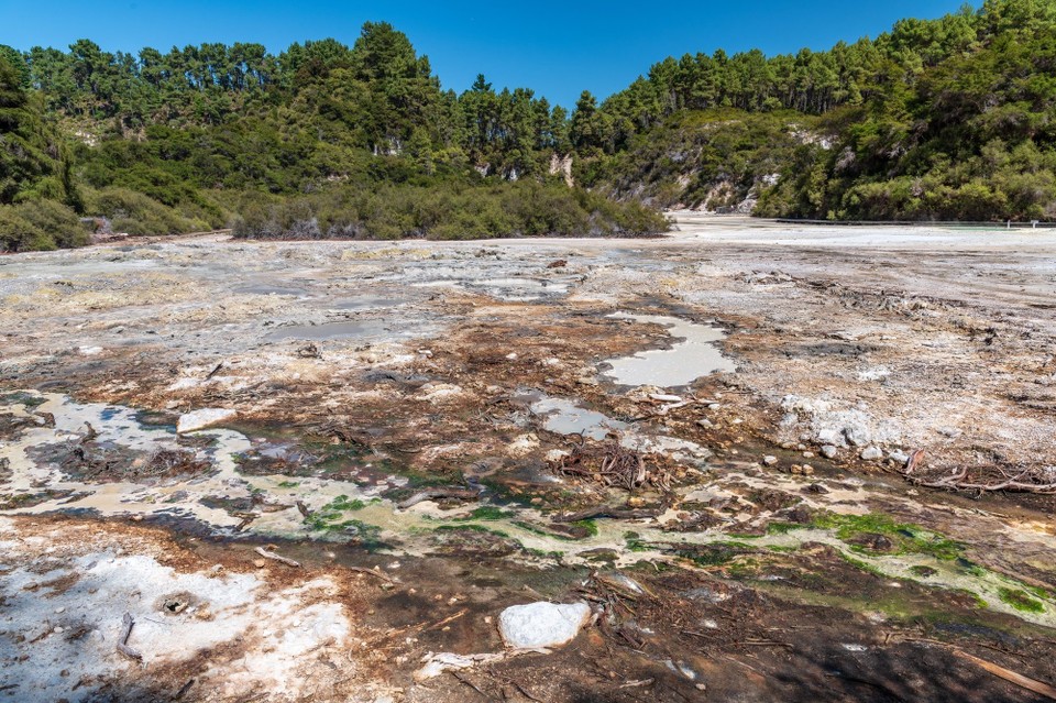 Neuseeland - Rotorua - 