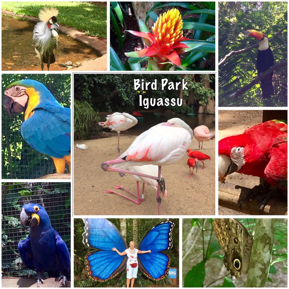 Argentinien - Iguazú - Vogelpark 👌