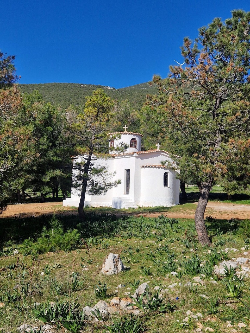 Griechenland - Iria - …ne Kapelle mitten im Olivenhain 