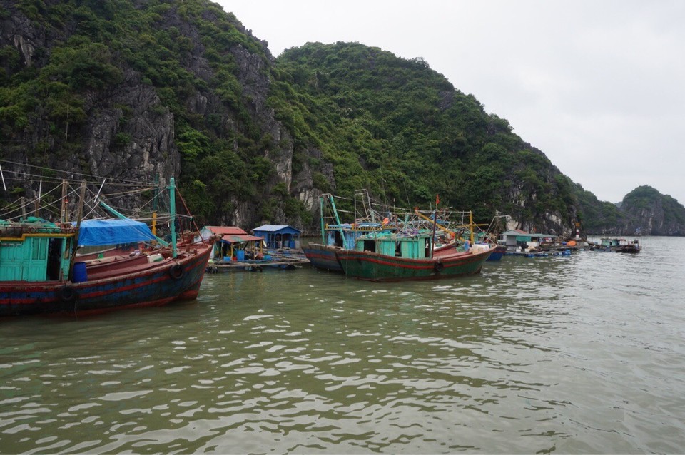 Vietnam -  - 
