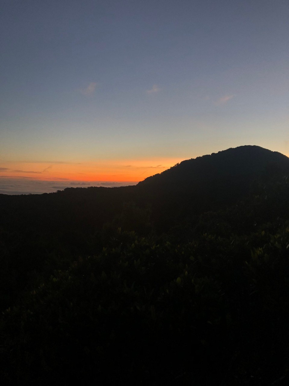 Neuseeland - Taranaki - Abendstimmung im Nationalpark