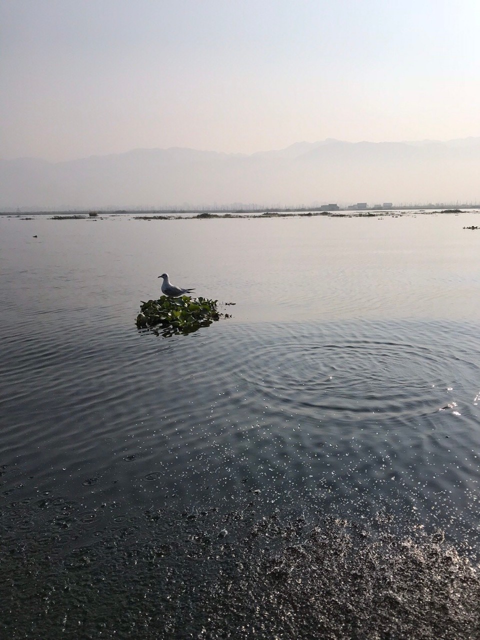 Myanmar (Burma) -  - 