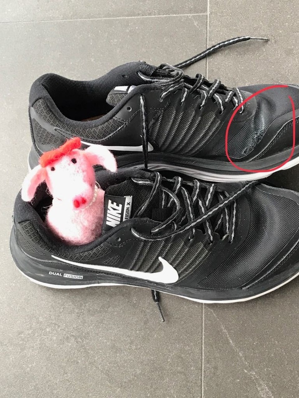 Neuseeland - Russell - Nicht olmatauglich