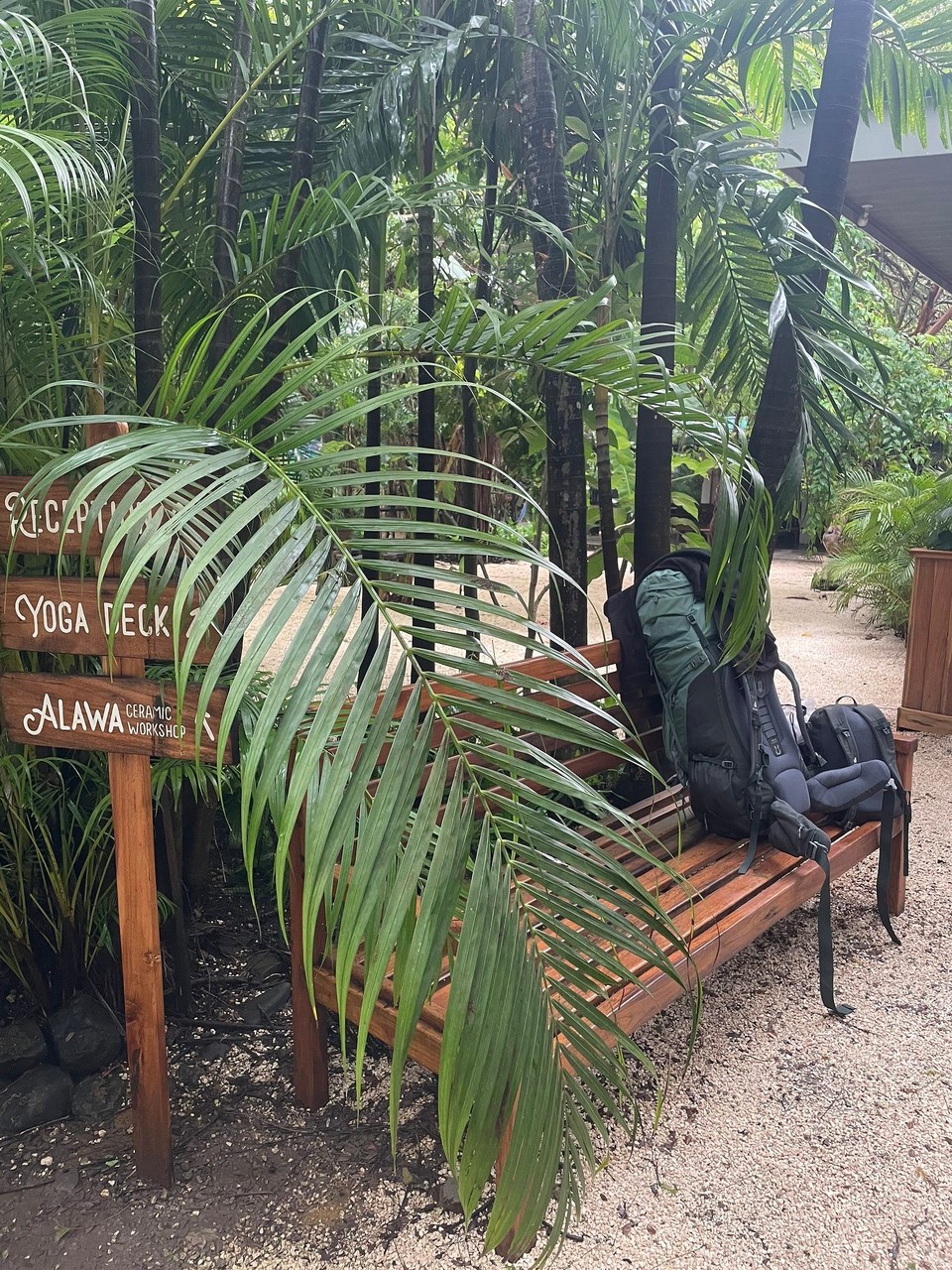 Costa Rica - Santa Cruz - 6:30 Uhr hieß es heute wieder Shuttlezeit - und damit mit nur drei Stunden Schlaf 😴