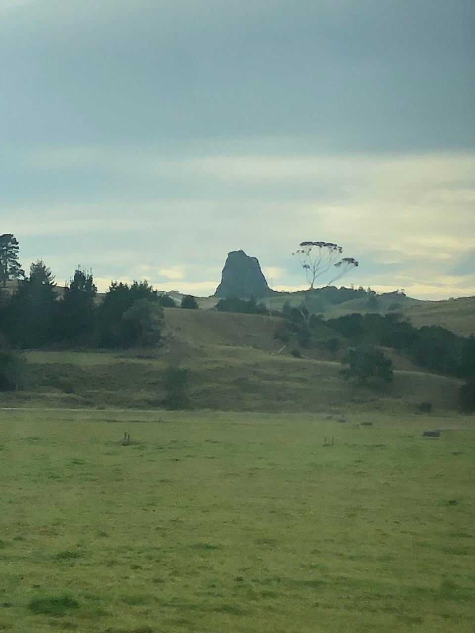 Neuseeland - Orakei - 