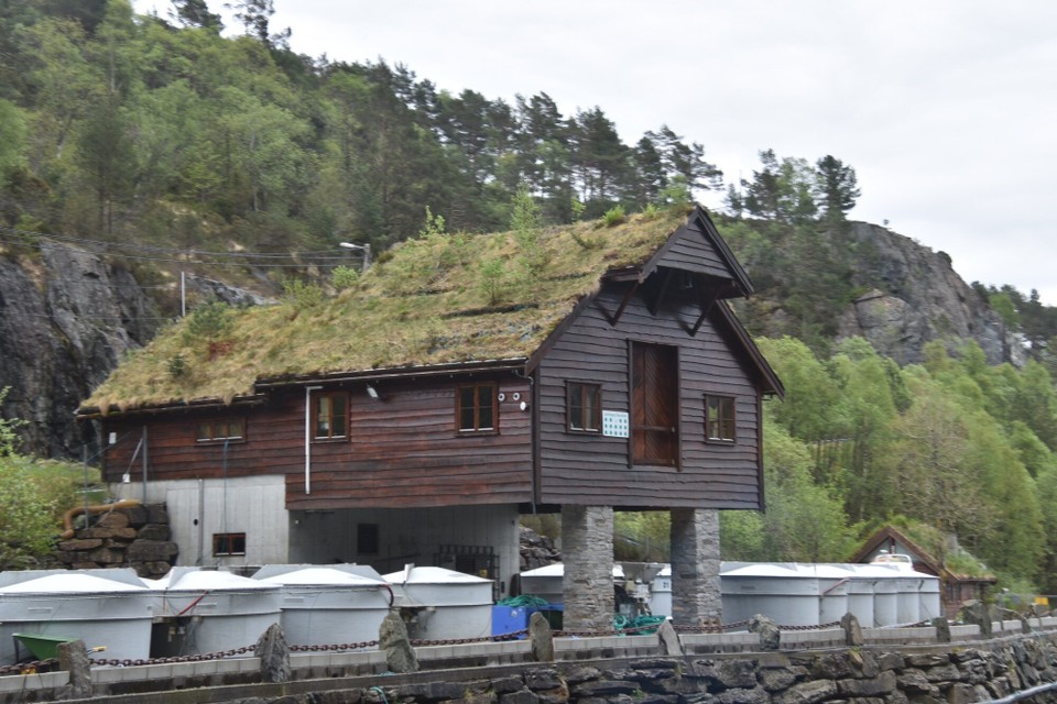 Norwegen - Hovden - 