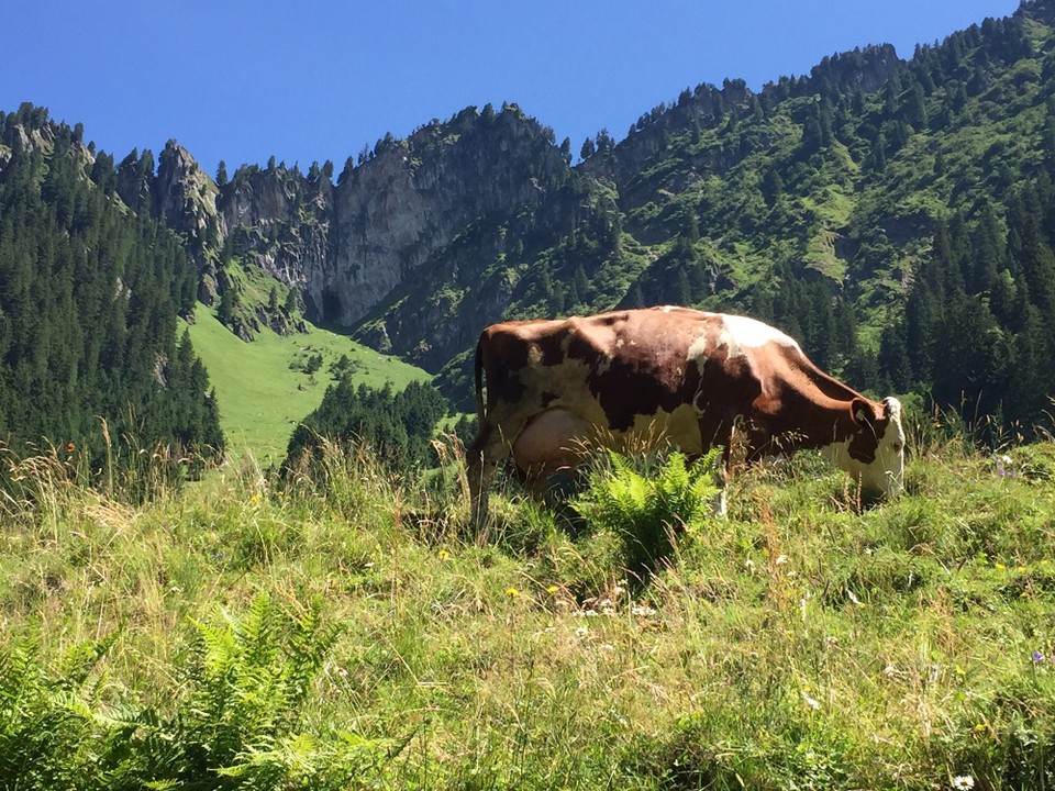 Österreich - Neukirchen am Großvenediger - 