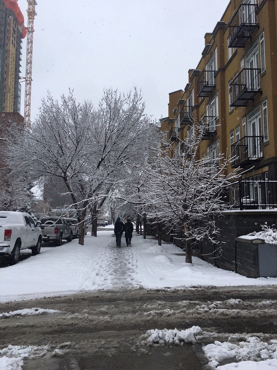 Canada - Calgary - Walking to James' place
