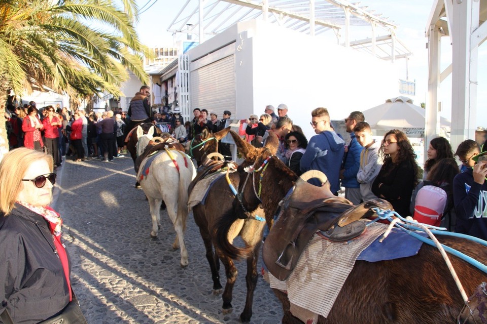 Griechenland - Santorin/Thira - 