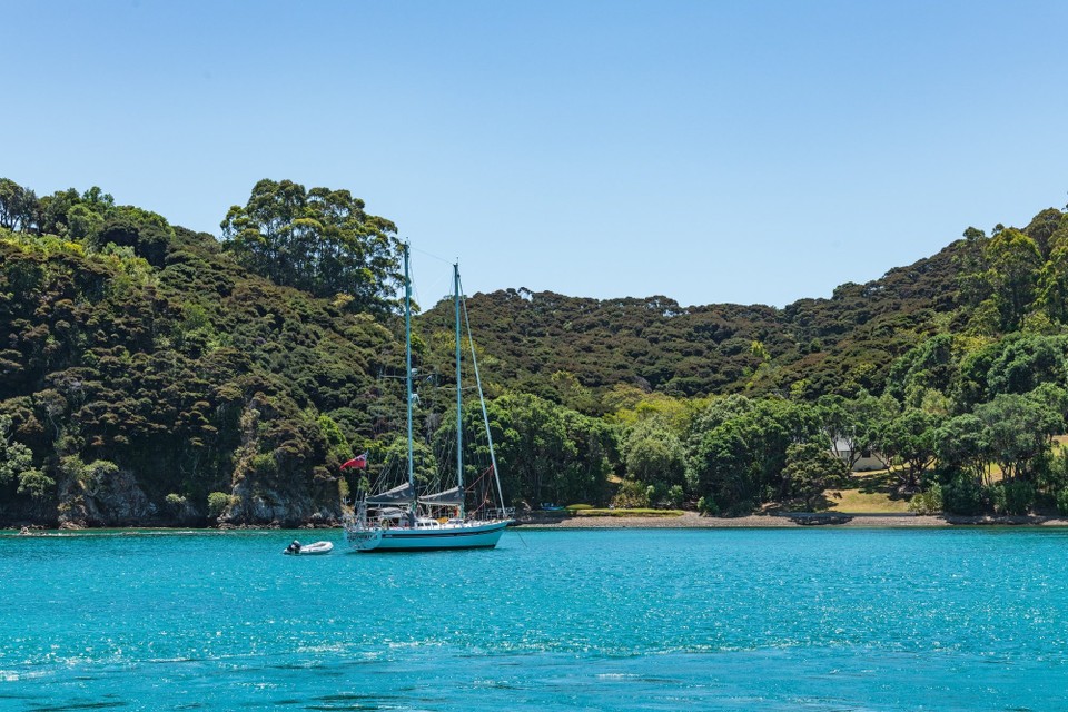 Neuseeland - Paihia - 