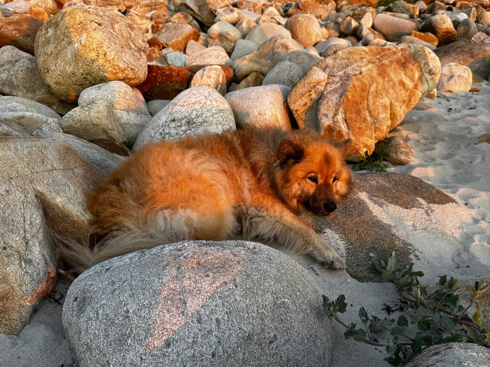 Frankreich - Plouarzel - 