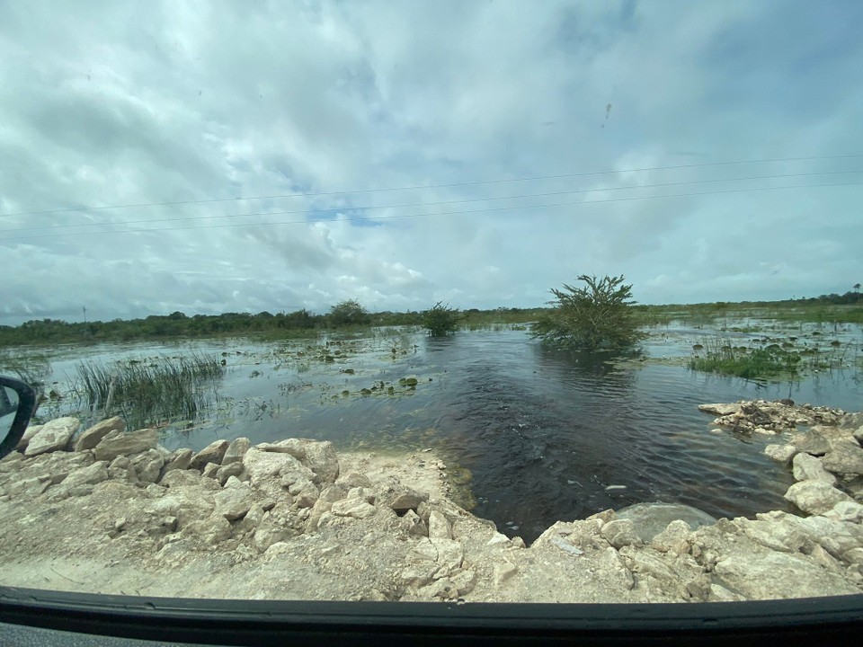 Mexiko - Las Coloradas - Überschwemmungen soweit das Auge reicht