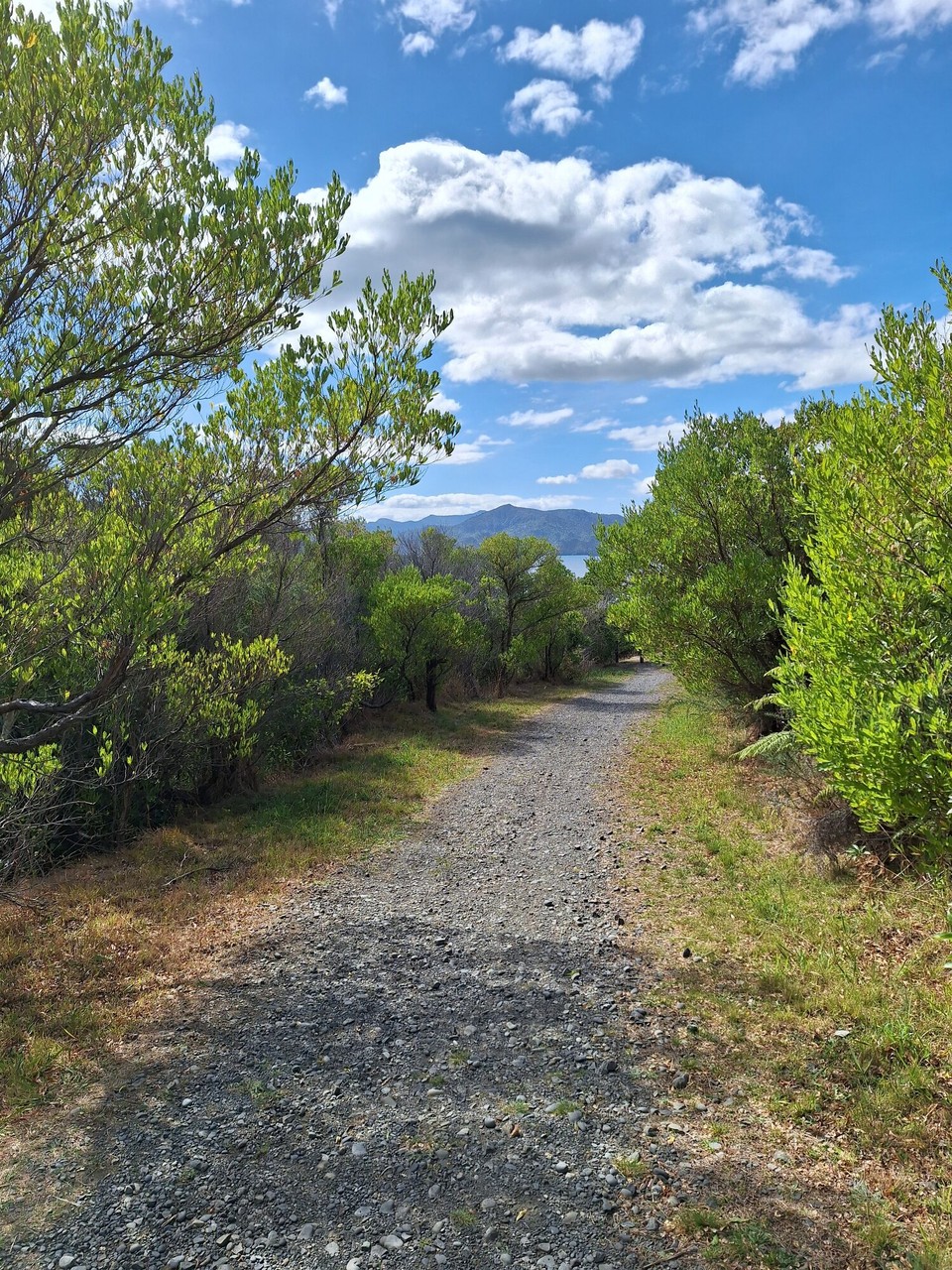 Neuseeland - Picton - 