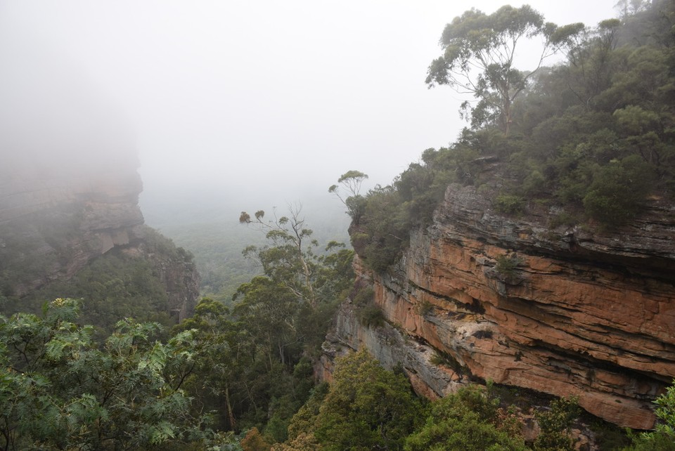 Australien - Wentworth Falls - 