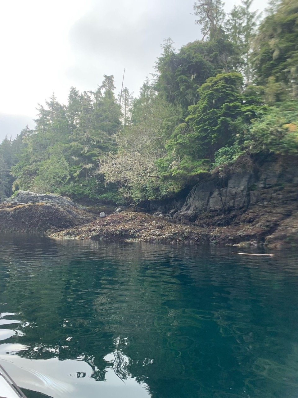 Kanada - Mount Waddington A - 