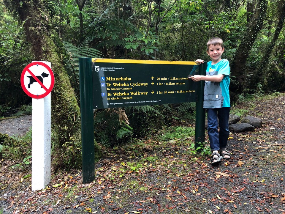 Neuseeland - Fox Glacier - Roman und Nicolas rekognoszieren den Anfang des Minnehaha walks. Dieser soll viele Glowworms haben und in der Nacht sehr schön sein.
Glowworms sind Langhornmücken. Die Larven leuchten, um Beute anzulocken. Je heller die Larve leuchtet, umso hungriger ist sie.