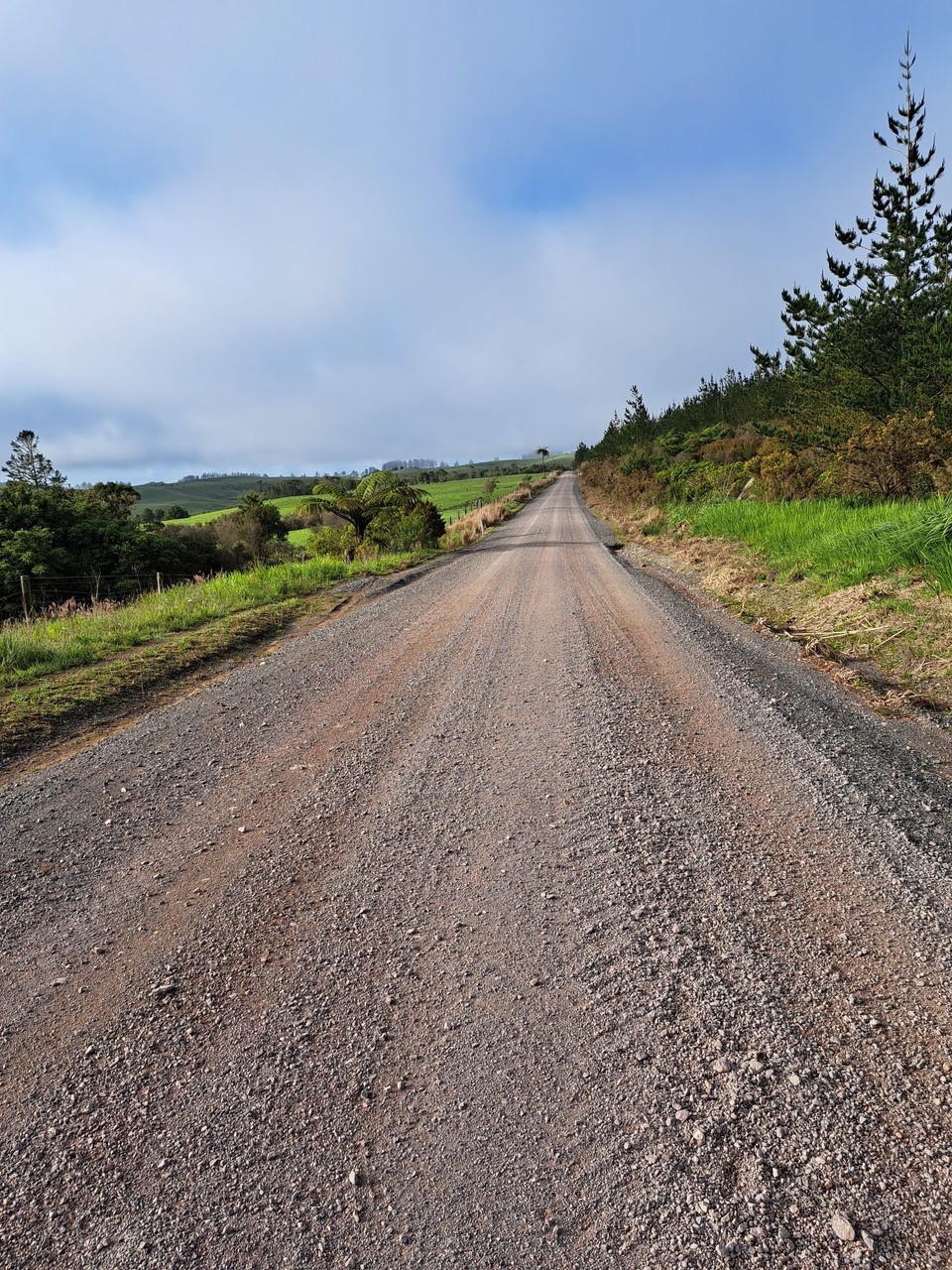 Neuseeland - Kerikeri - Der Schtterstrasse entlang 