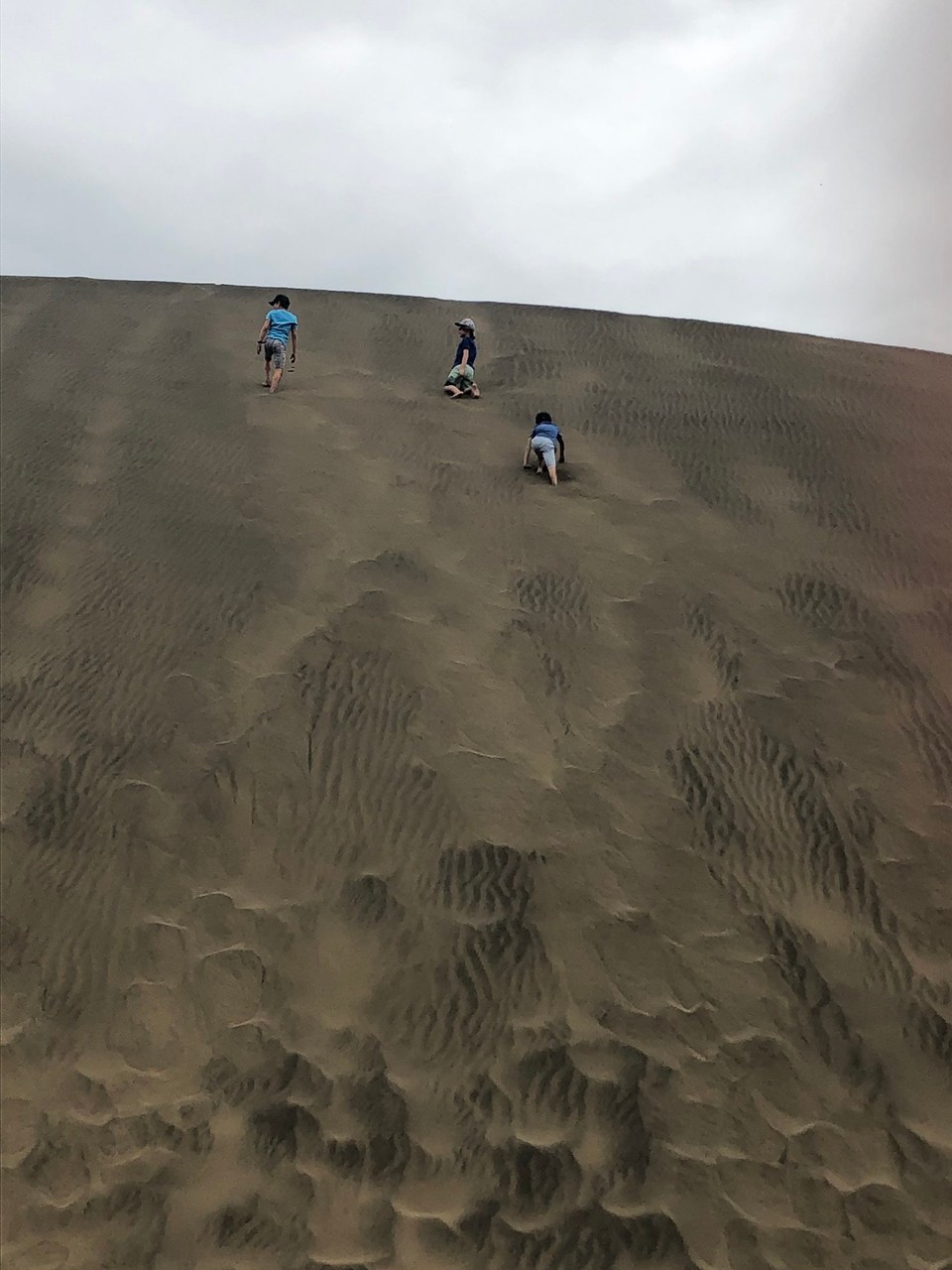 Neuseeland - Bethells Beach - Düne hinauf 