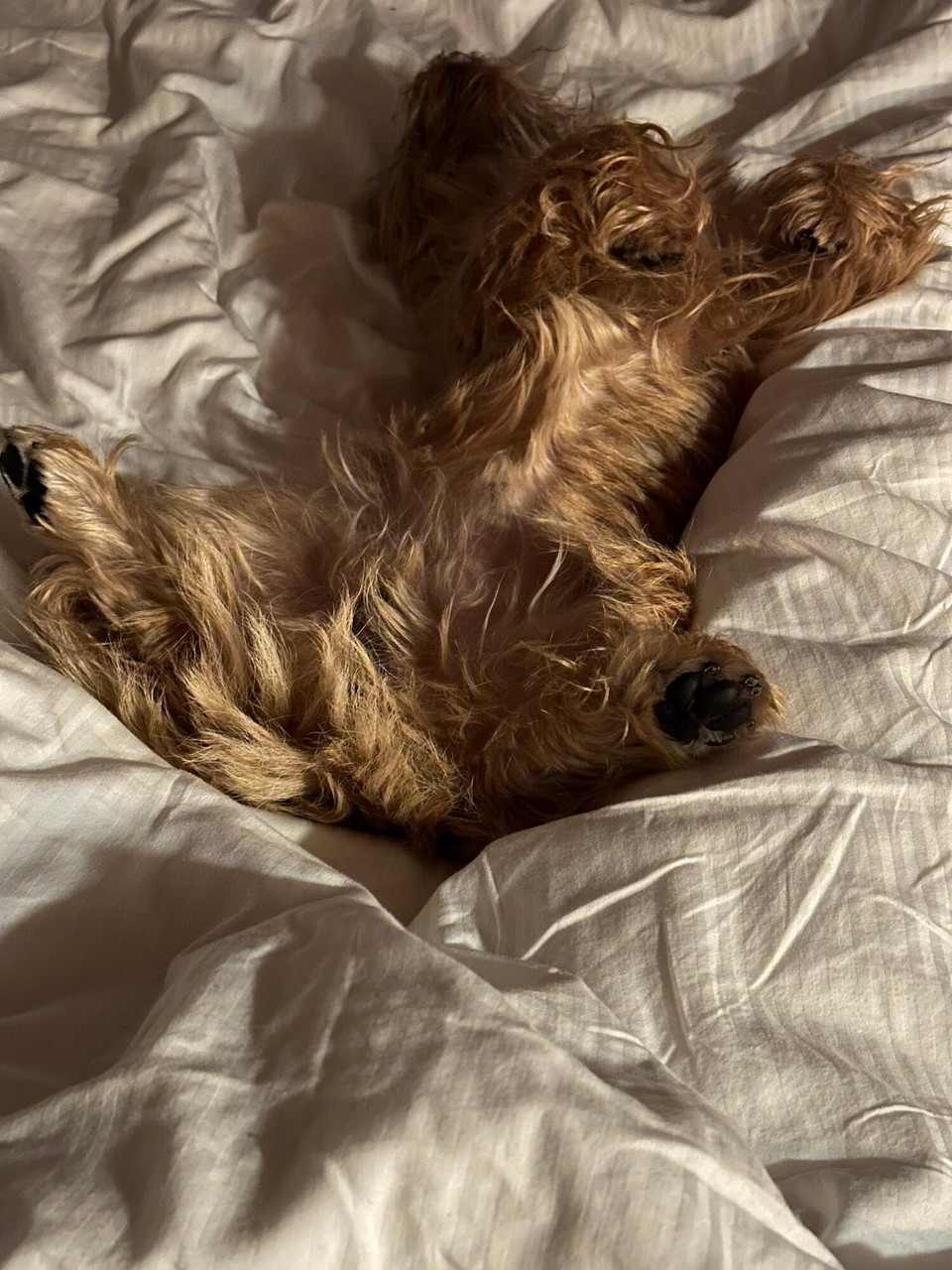 Österreich - Kufstein - 15 km, 500 Höhenmeter, 4 Regenduschen, 3 Gemsen - reicht für heute!