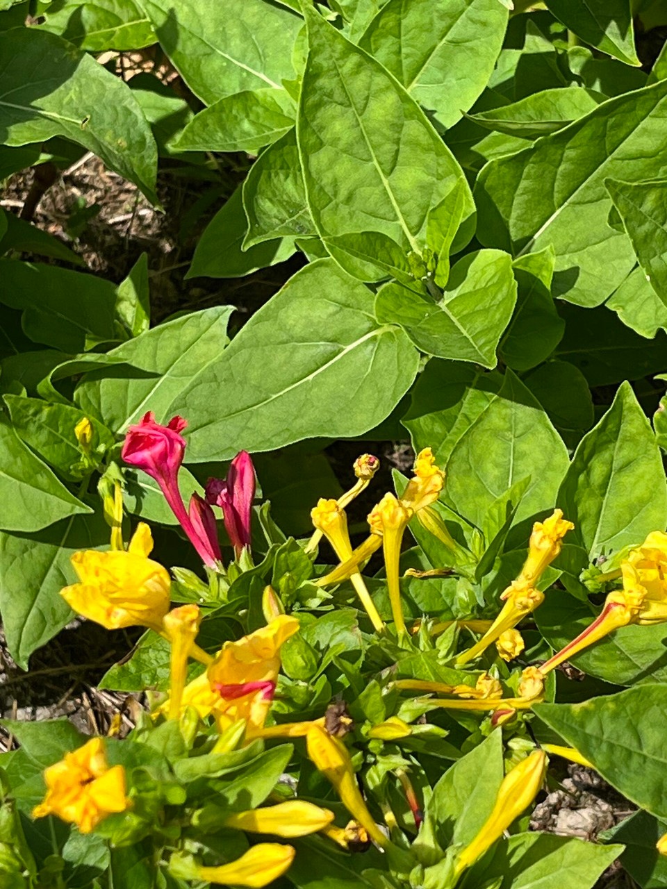 Kroatien - Završje - 