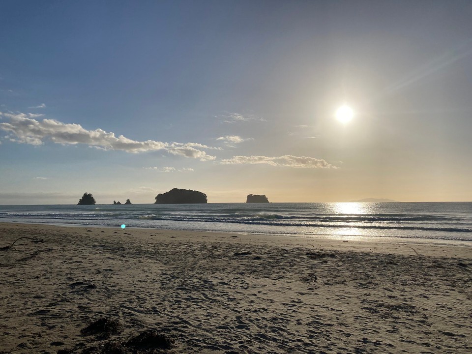 Neuseeland -  - Guten Morgen 🤪