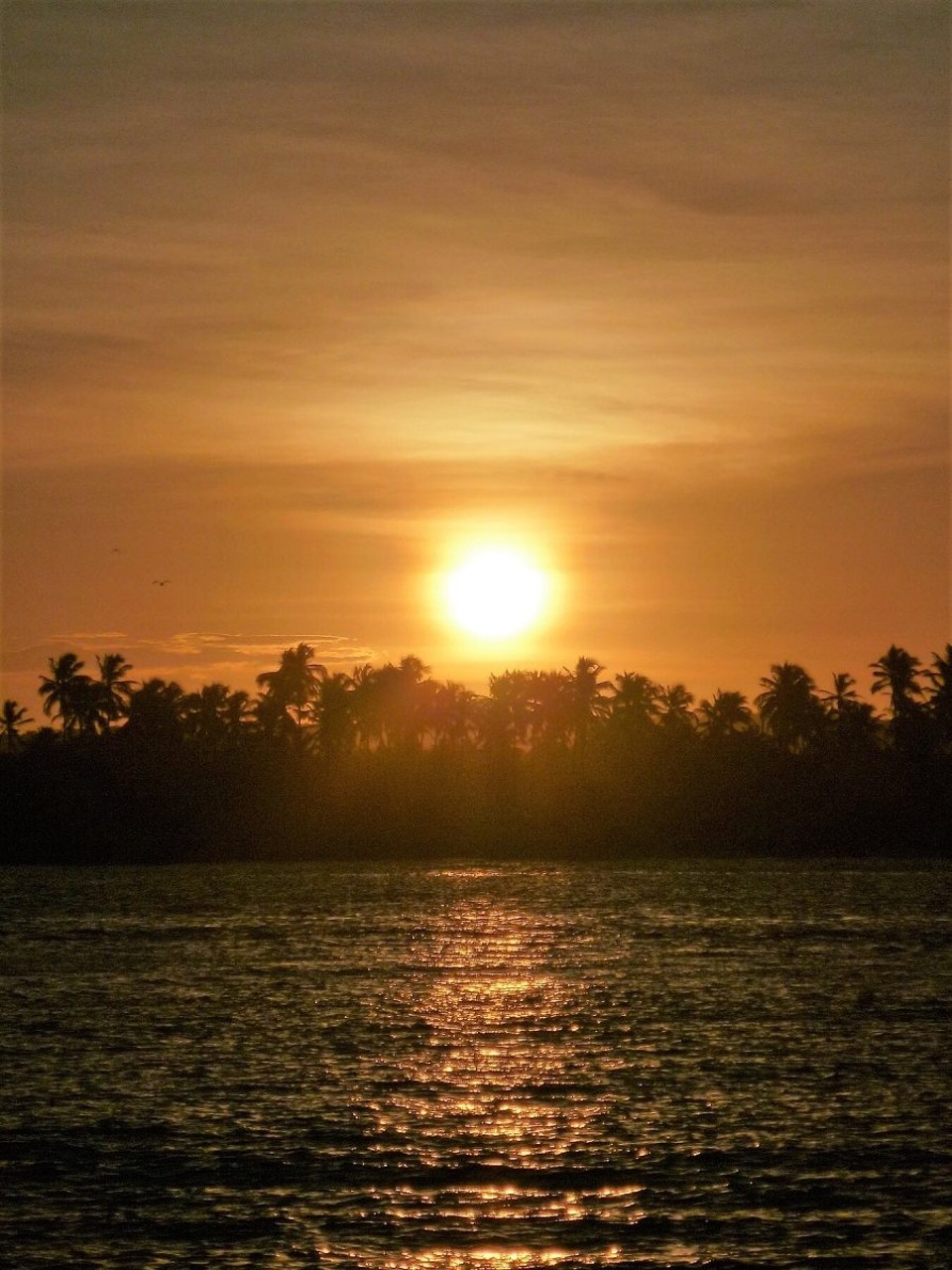 Brasilien - Maceió - 