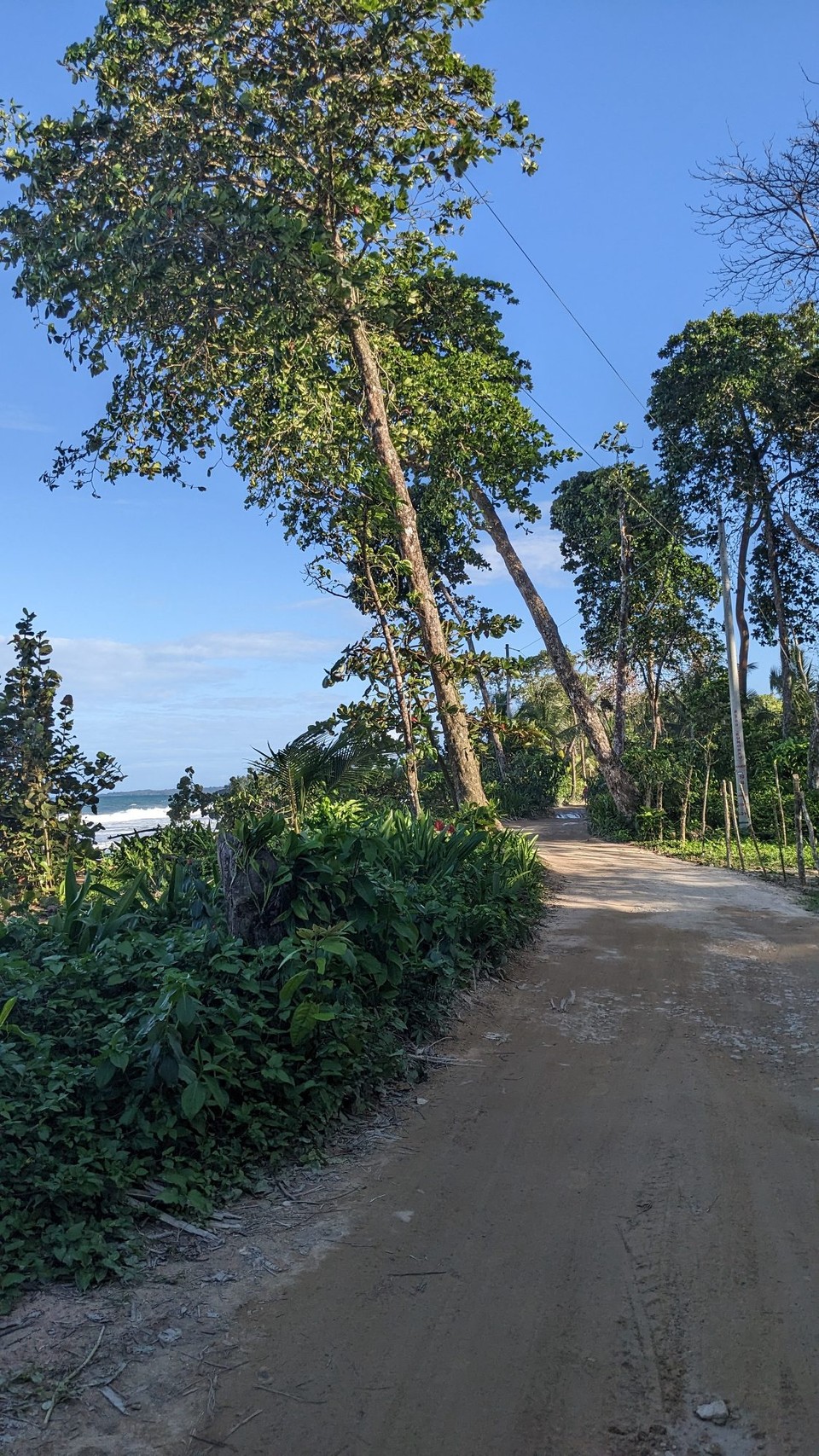 Panama - Playa Bluff - 