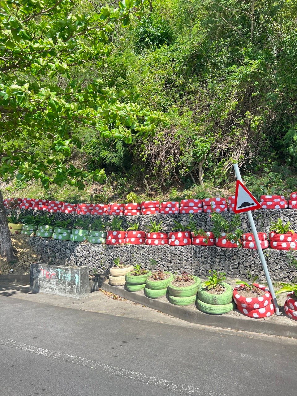 Dominica -  - Recycling der besonderen Art