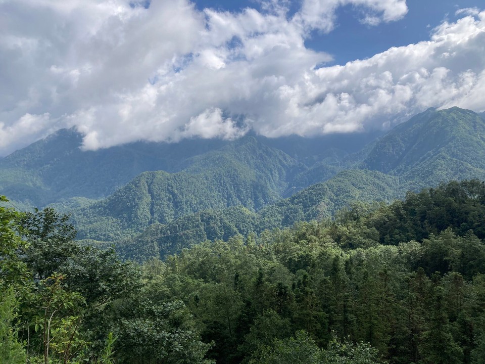 Vietnam - Sa Pa - Blick auf die Gondel zum Berg Fansipan - den man für knapp 80€ besteigen kann! Nicht mit mir, da ist ja die Gondelfahrt für knapp 30€ günstiger… 🤦🏻‍♀️