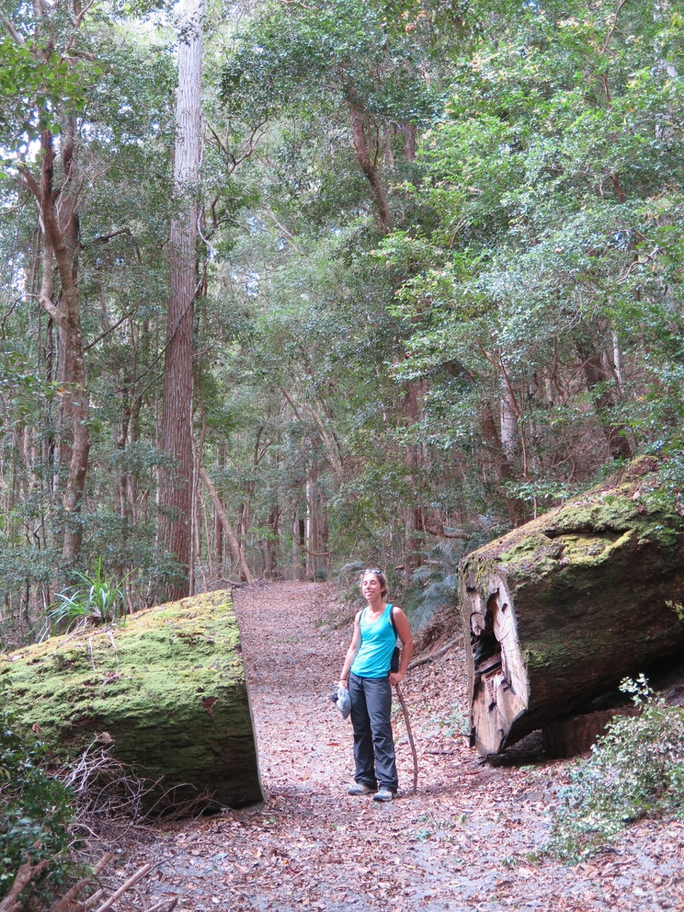 Australia - Fraser Island - 