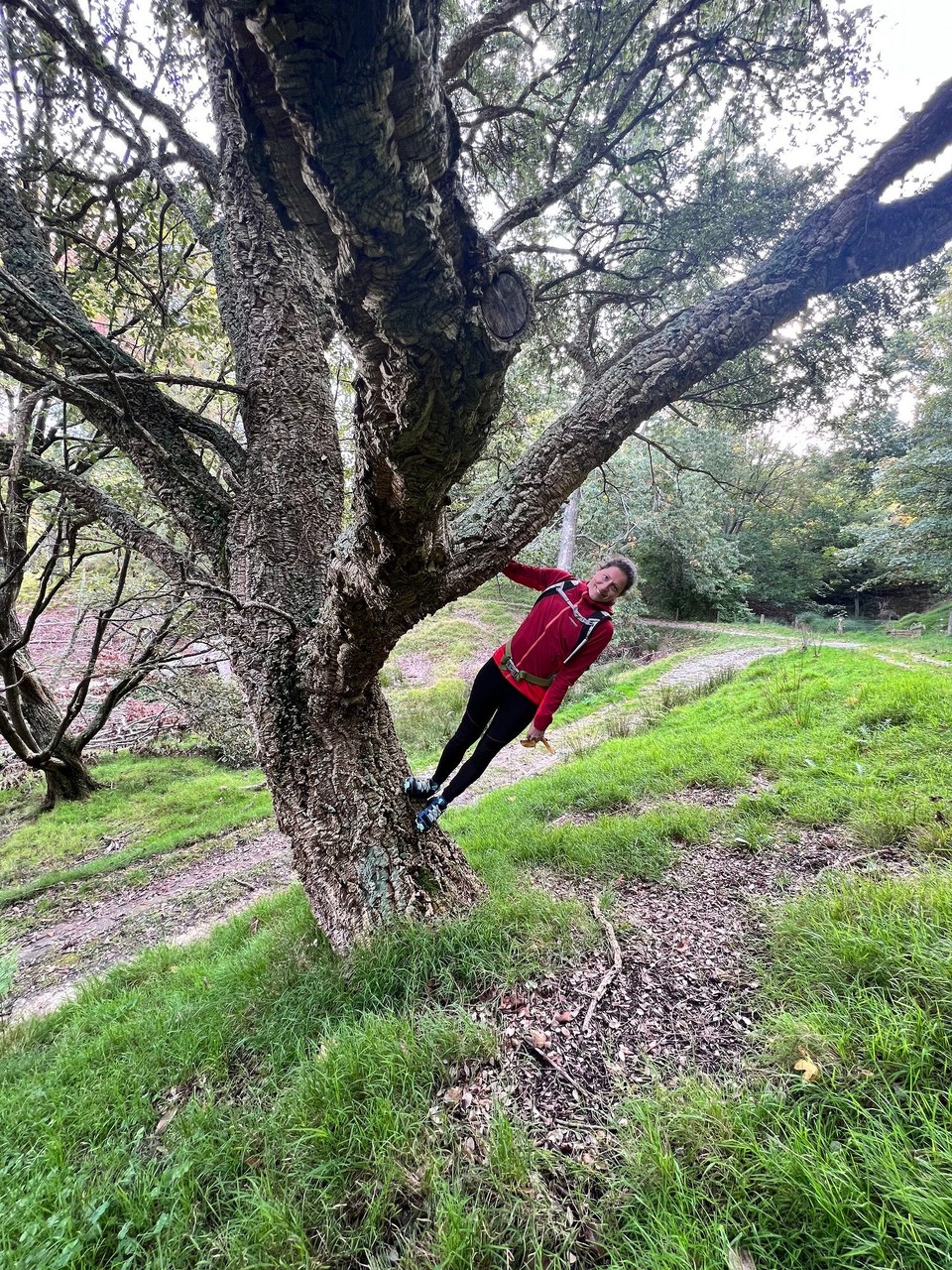 Neuseeland - Gisborne - 