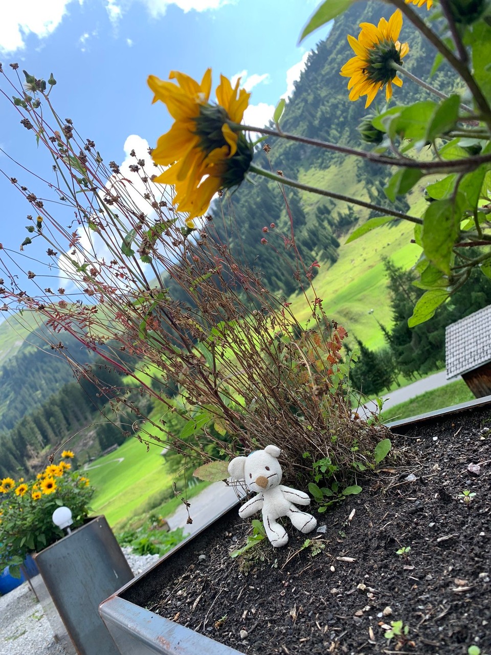 Österreich - Lech - Beste Aussichten! 