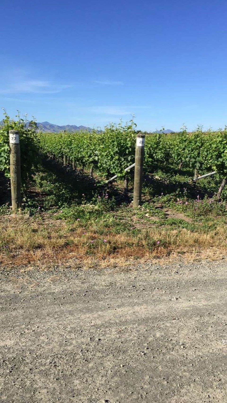 Neuseeland - Waihopai Valley - 