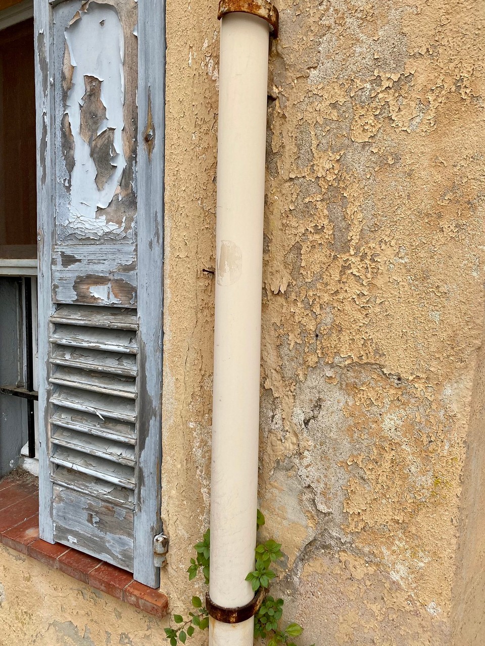 Frankreich - Grasse - 