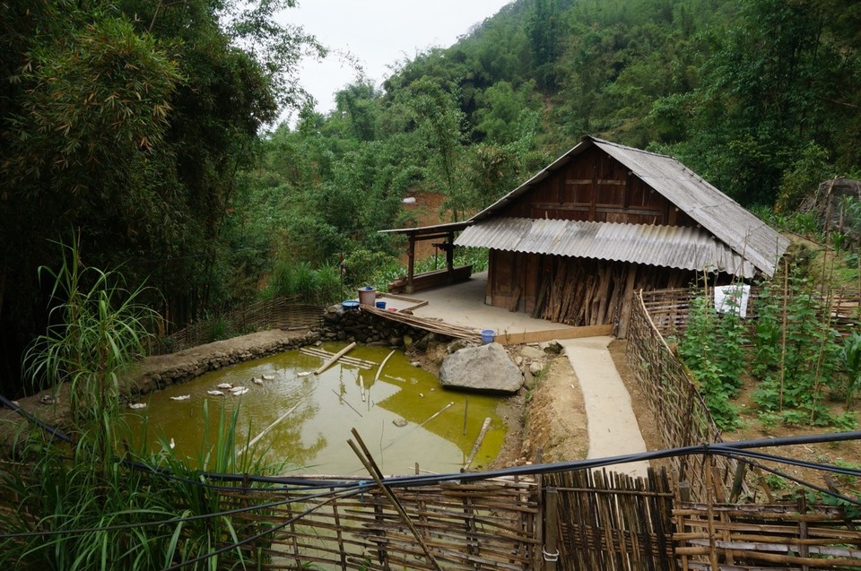 Vietnam -  - 