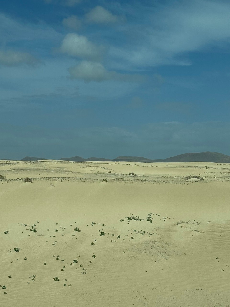 Spanien - Puerto del Rosario - 