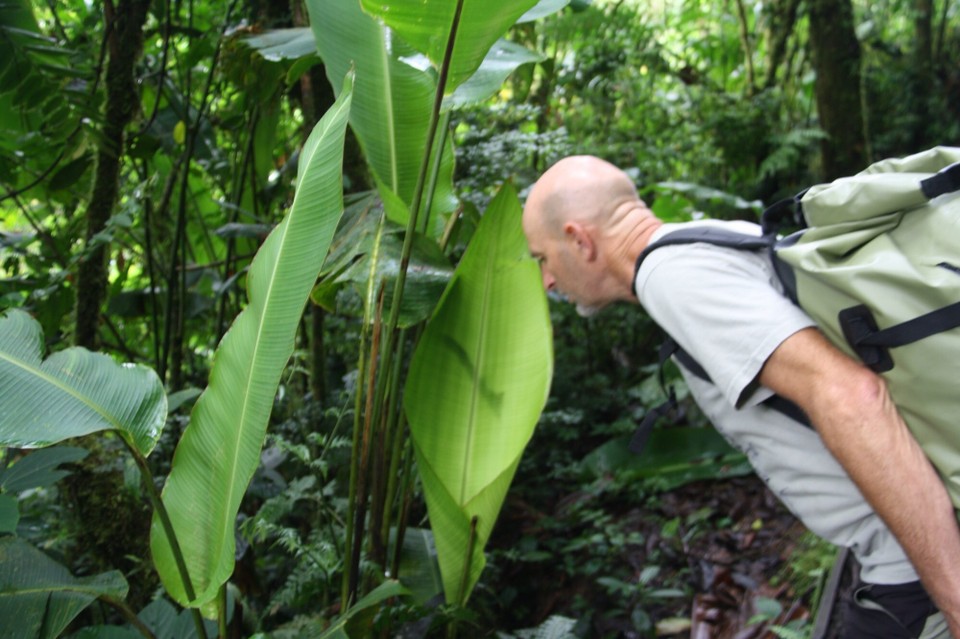 Costa Rica -  - 